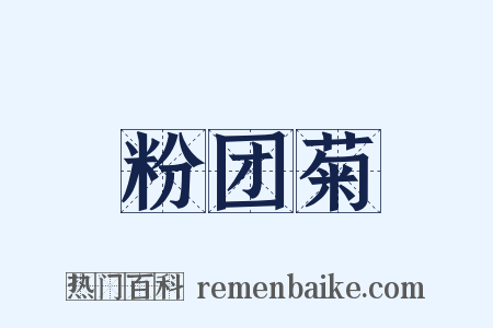 粉团菊是什么意思的图片